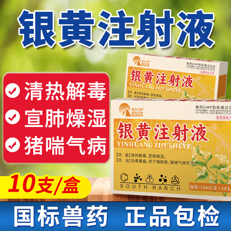 银黄注射液兽用银黄提取物猪药清热解毒退热毒烧咳嗽宣肺猪喘气病