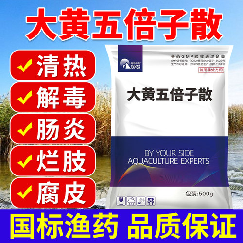 大黄五倍子水产养殖清热解毒鱼塘