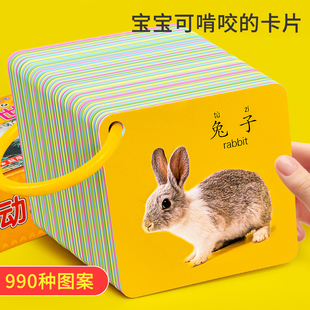 1岁儿童启蒙书玩具2 宝宝撕不烂早教益智认知卡片幼儿园识字动物0