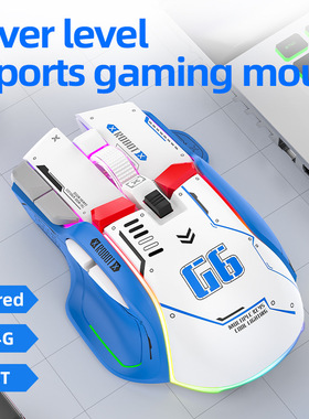 10 Key Wireless Gaming Mouse RGB Gamer Mouse无线三模游戏鼠标