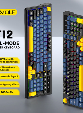 98 Key Dual-Mode 2.4G Bluetooth Wireless Gaming Keyboard键盘