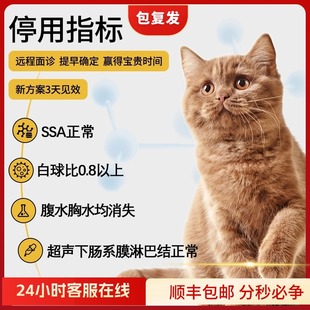 猫咪传腹干性湿性消腹水腹膜炎抑制剂营养补充剂(南京同城可达)