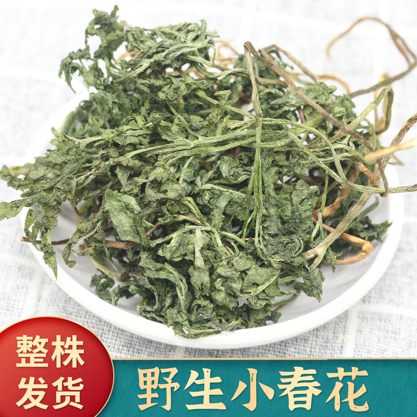 野生小春花一朵云中药材图片
