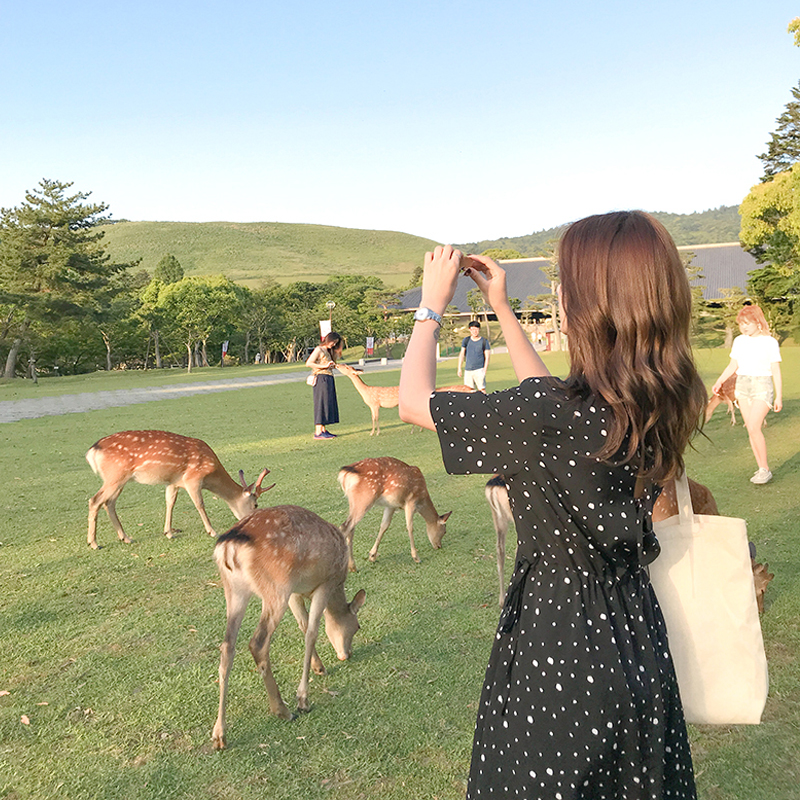 现货夏款后背绑带波点连衣裙MMJ267-P85-K138，女装连衣裙，浙宝233