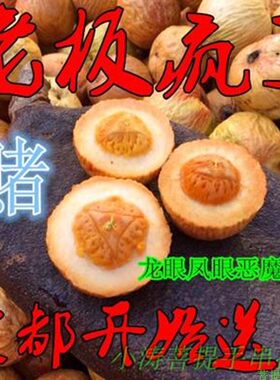 菩提籽凤眼龙眼带皮原料