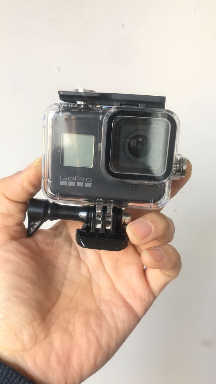 gopro 8black 黑狗八运动相机 高清