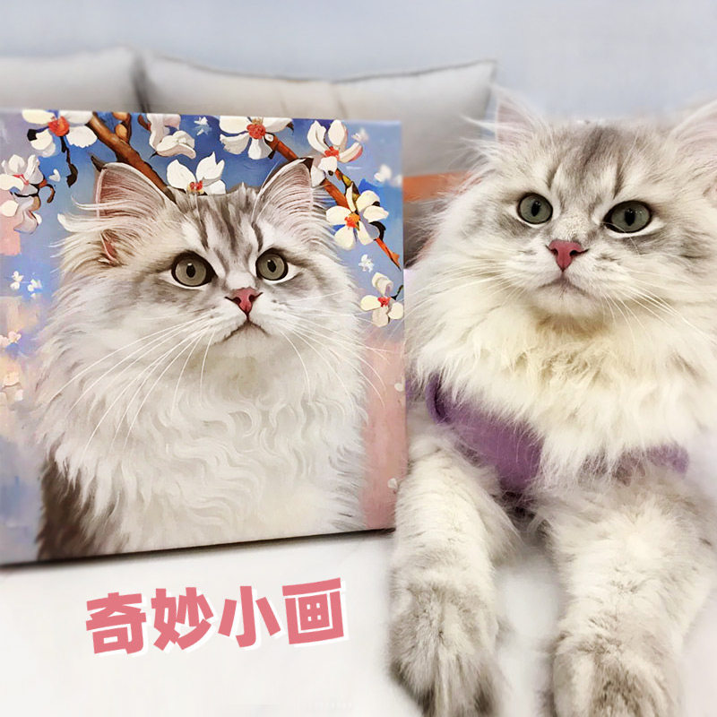 二狗姑娘 宠物定制画像盲盒 猫狗仓鼠兔子龙猫鹦鹉肖像油画礼物,家居饰品,现代装饰画,淘宝优惠券,粉丝福利购,淘宝优惠卷