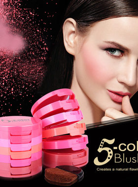 5 color powder blusher 5 in 1 concealer pressed powder腮红套
