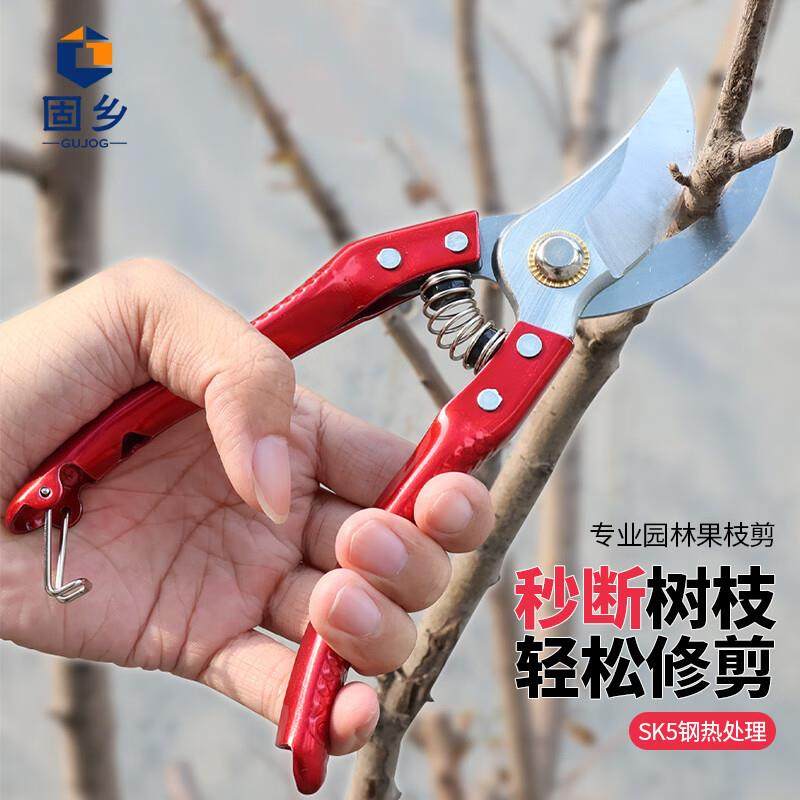 固乡园艺修枝剪刀果树修剪园林园艺剪刀树枝剪果枝剪可剪0-15mmSK