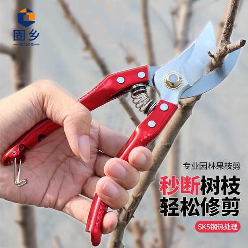 固乡园艺修枝剪刀果树修剪园林园艺剪刀树枝剪果枝剪可剪0-15mmSK