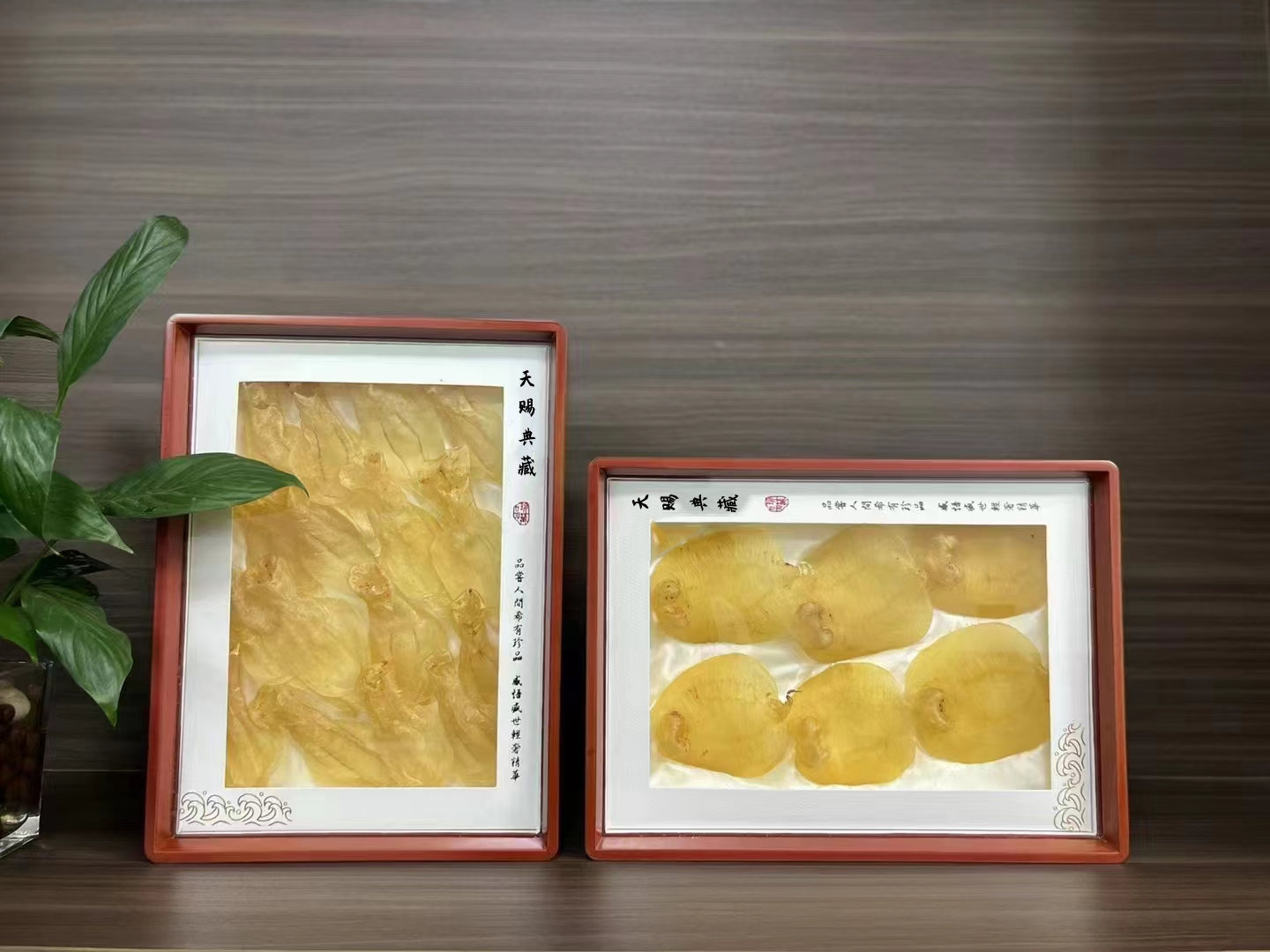 天赐珍藏实木鱼胶礼空鳘鱼胶干货包装参茸滋补品礼袋展示空盒送礼