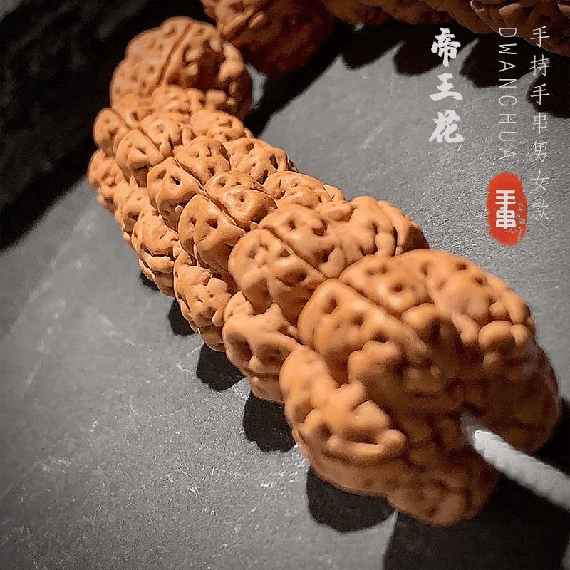 【帝王花】小金刚五星龙爪花王双龙纹梅花桩小金刚菩提子单圈手串图片