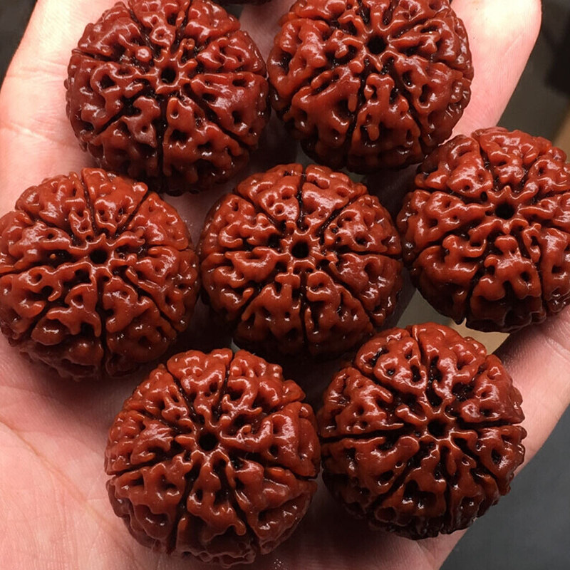 尼泊尔满肉大金刚菩提子红皮矮桩菩提