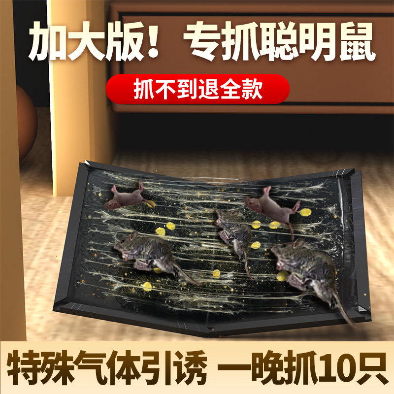 山山粘鼠板超强力老鼠贴抓大老鼠夹扑捉灭鼠胶沾正品家用捕鼠神器怎么看?