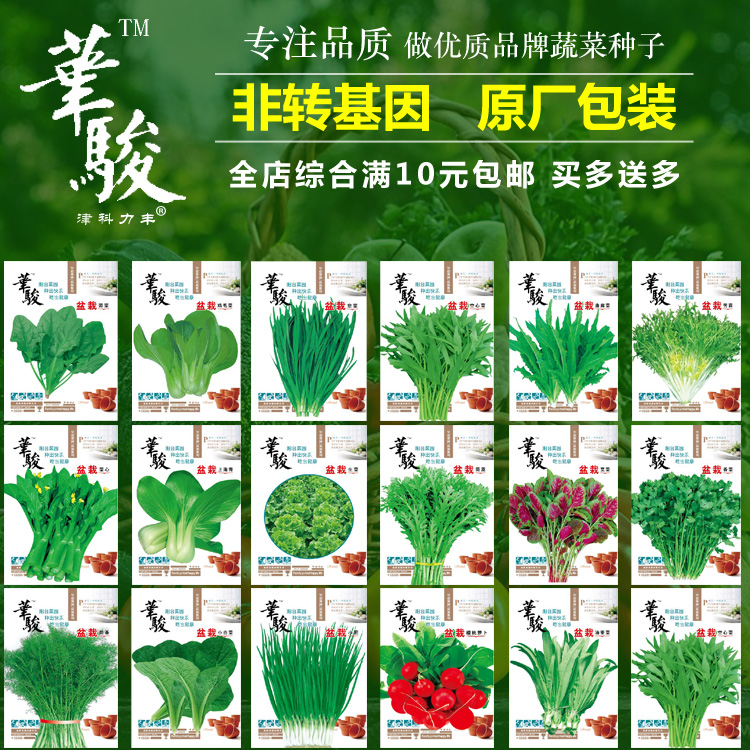 蔬菜种子阳台有机蔬菜盆栽家庭菜园香菜葱韭菜青四季易播空心菜籽