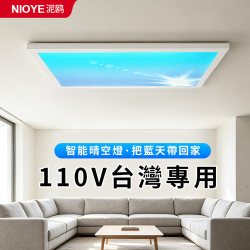 台湾110V吸顶灯青晴空灯自然光