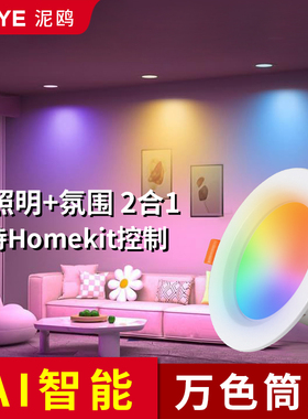 彩色筒灯嵌入式家用客厅氛围感射灯支持Siri苹果HomeKit智能筒灯
