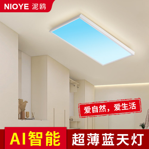 青晴空明装极薄过道灯走廊玄关灯