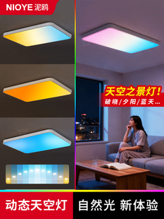 天境灯客厅灯2025新款长方形天际动态蓝天空灯自然光青晴空吸顶灯