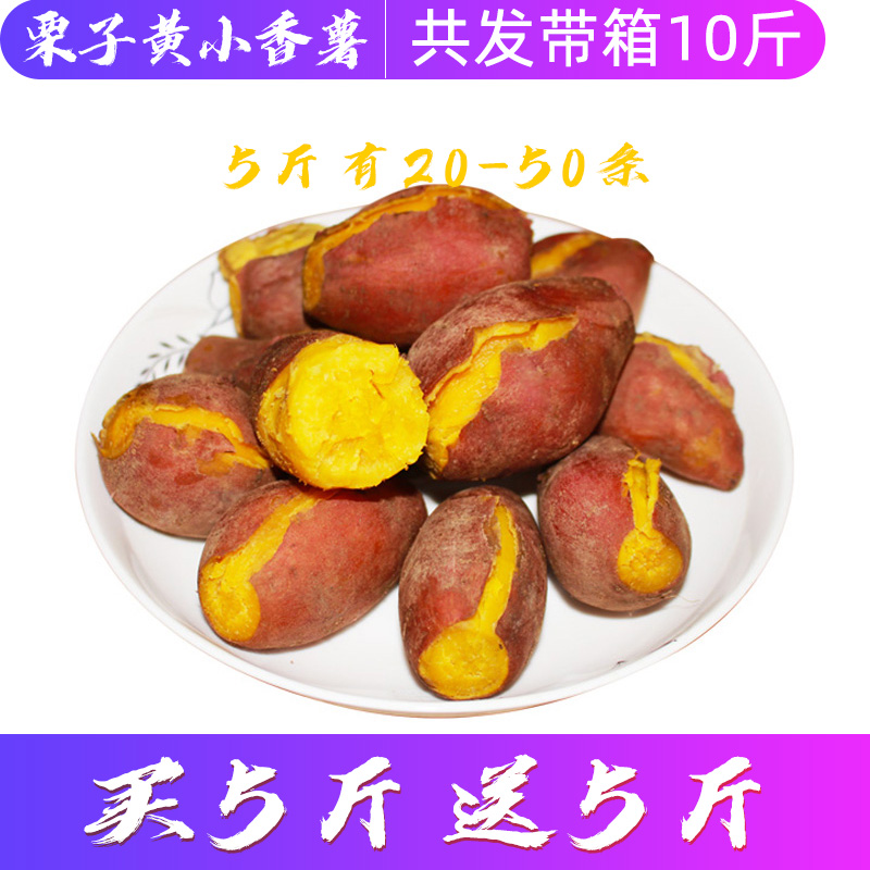 (用5元券)香哝 鸡蛋黄红薯栗香地瓜5斤黄肉番薯甜营养粗粮非天目山小香薯10