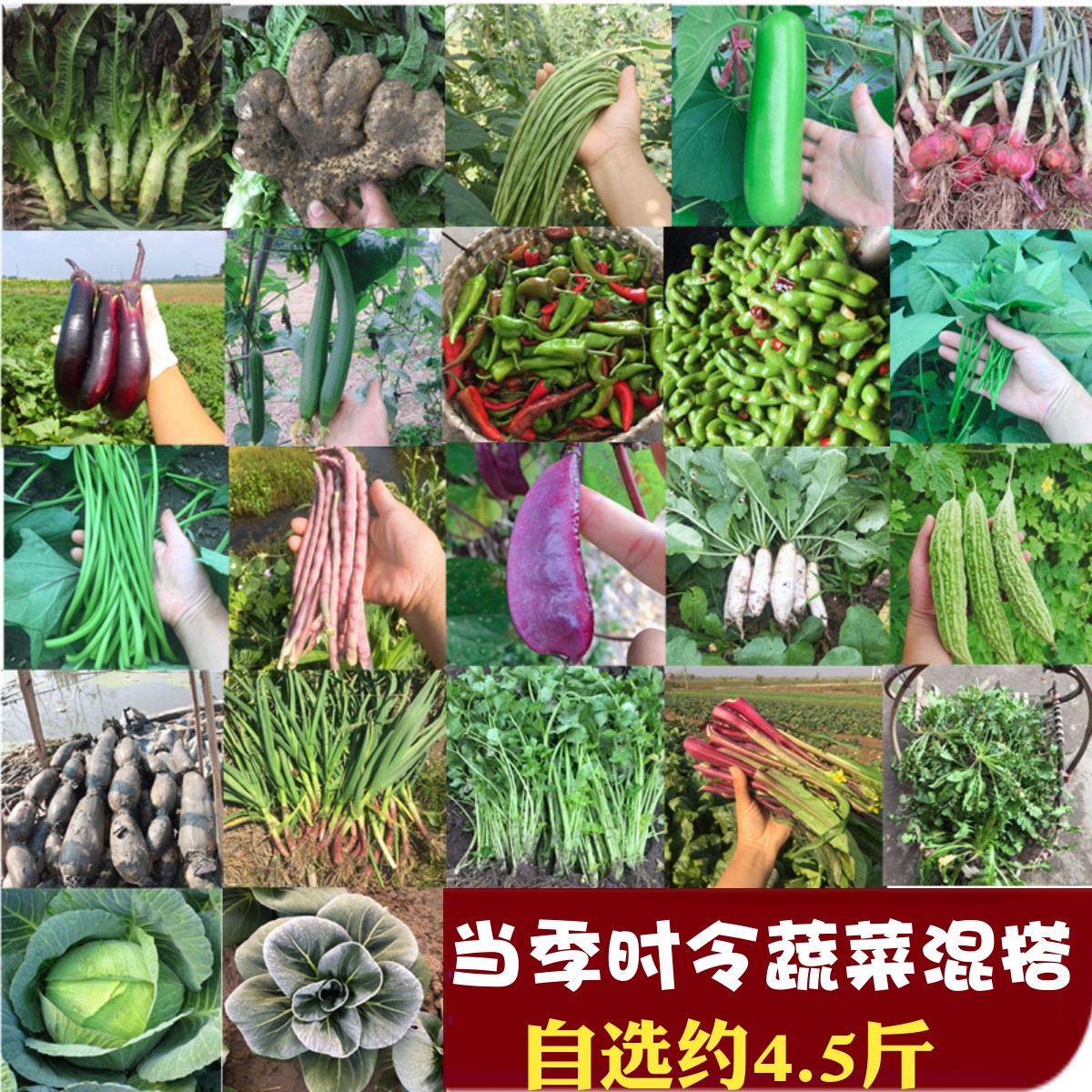 农家自种新鲜时令蔬菜糯茄子嫩黄瓜南瓜辣椒土豆番茄洋葱葫芦4斤