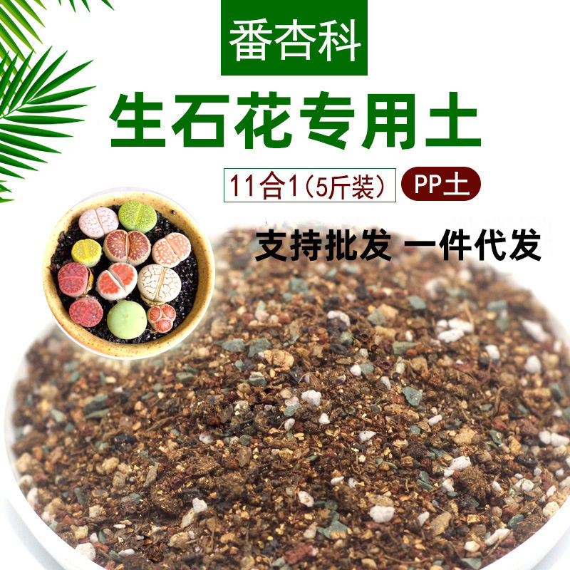 生石花专用土多肉屁屁肉锥种植营养颗粒土番杏科播种介质用