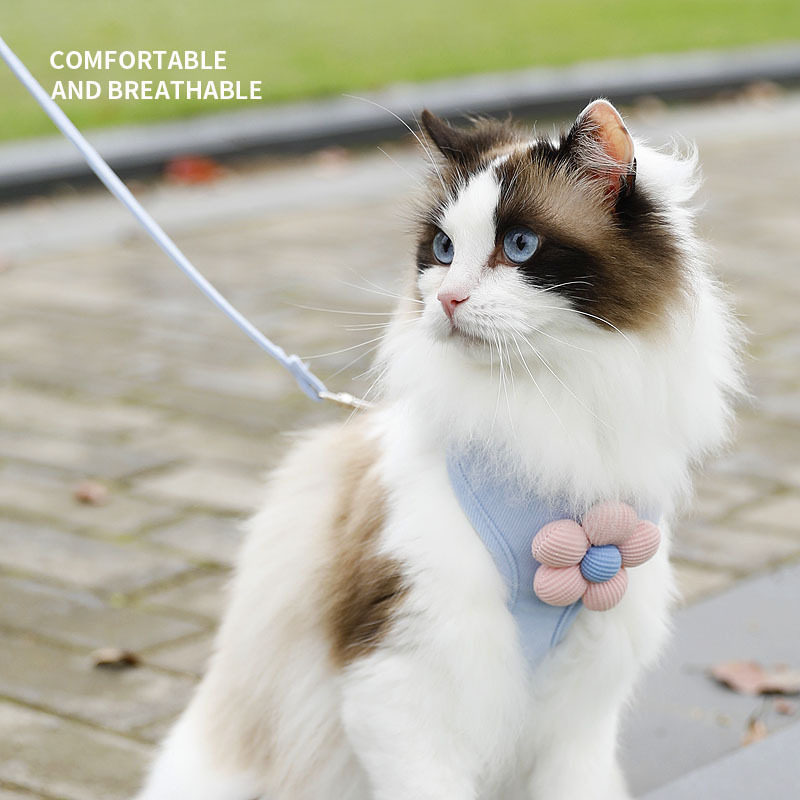 猫狗通用花朵背心式胸背牵引绳