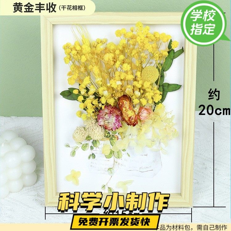 成人儿童diy干花相框高端手工diy材料亲子手工制作永生花材料gd13