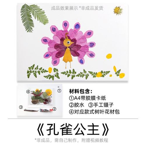 树叶手工贴画小学生幼儿园儿童diy材料包创意天然押花植物标SW24