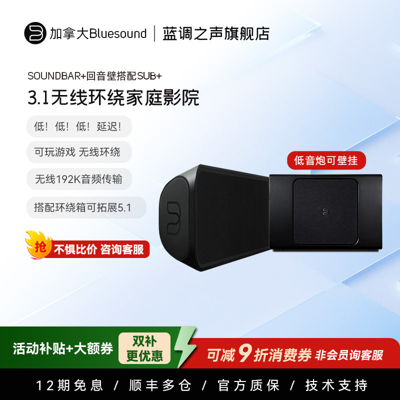 [低延迟可玩游戏 环绕无需布线]加拿大蓝调之声5.1家庭影院低音炮