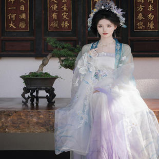 原创汉服宋韵春季紫蓝色异形双大袖云间山泽宋制吊带齐腰新款套装