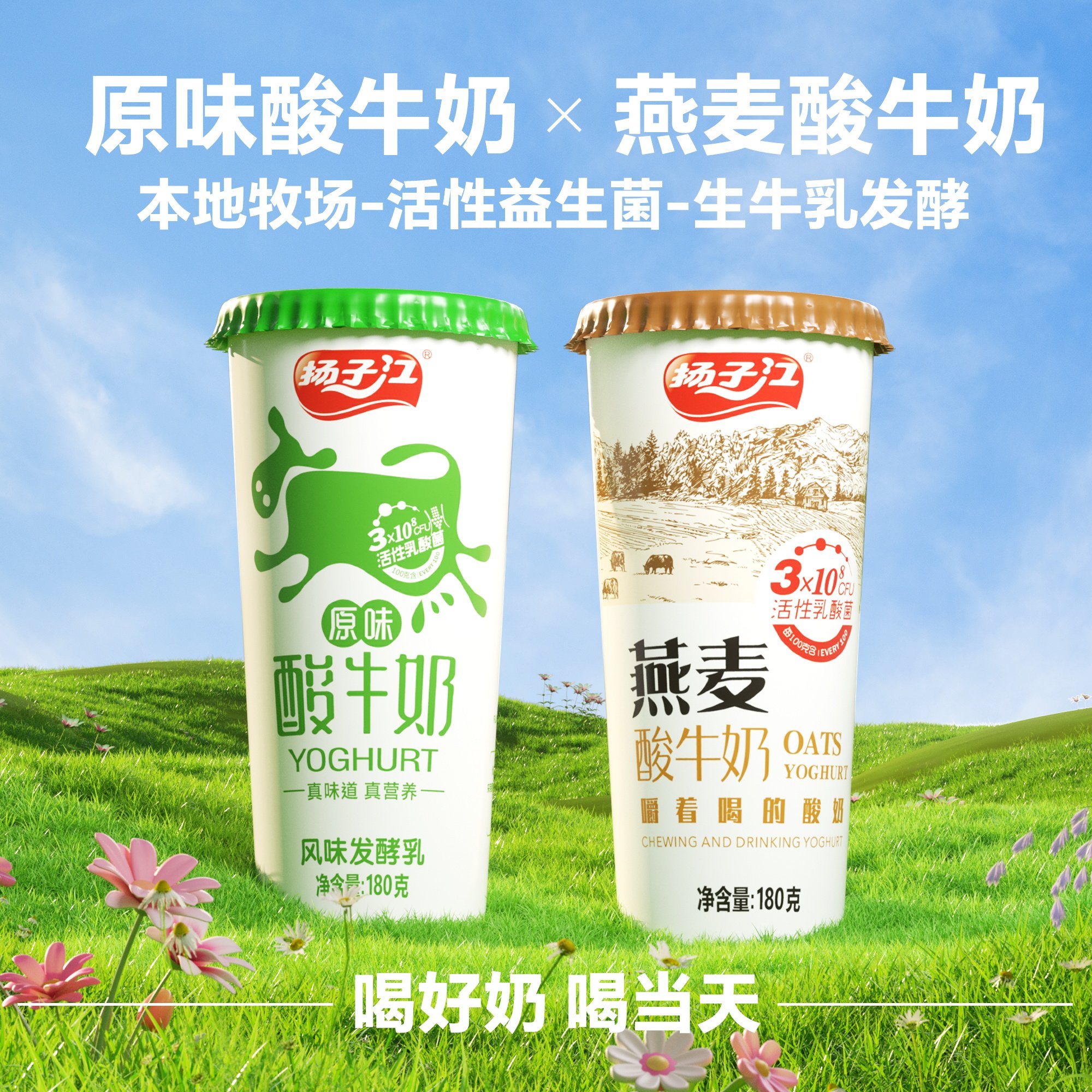 【顺丰冷链速运】扬子江活菌酸奶原味/燕麦2种江城特产武汉老字号