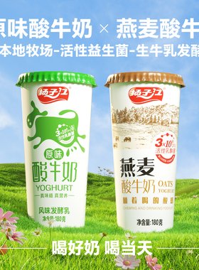 【顺丰冷链速运】扬子江活菌酸奶原味/燕麦2种江城特产武汉老字号