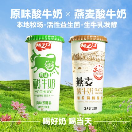 【顺丰冷链速运】扬子江活菌酸奶原味/燕麦2种江城特产武汉老字号
