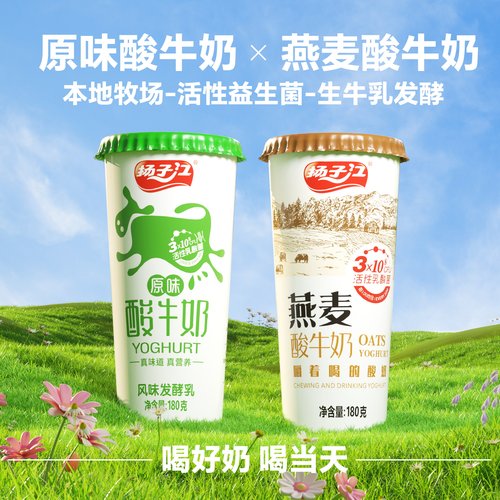 【顺丰冷链速运】扬子江活菌酸奶原味/燕麦2种江城特产武汉老字号
