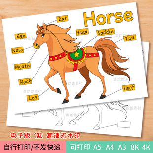 96-马的身体介绍英语电子线稿模板horse身体介绍美术作品绘画模板