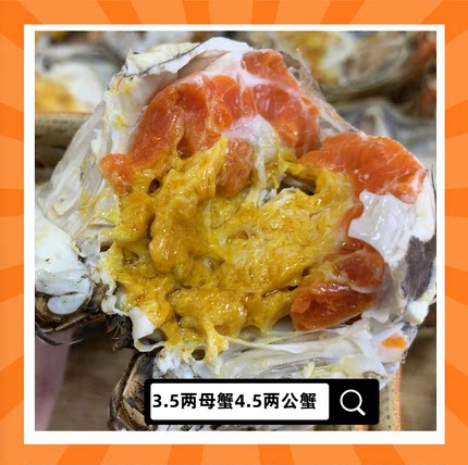 【3.5两母蟹4.5两公蟹】萧六十六郎鲜活大闸蟹高品质蟹农现捕