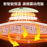 Дорнейский артефакт живота, большой живот, нижний живот, ленивые люди, встряхните жир живота