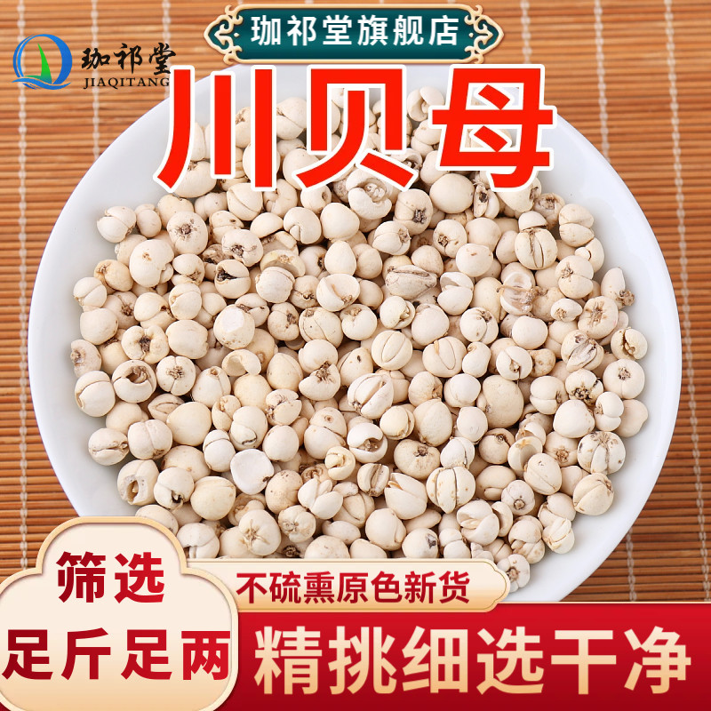 川贝母中药材新货无硫熏四川松潘松贝川贝粒干货可磨粉煲汤炖梨