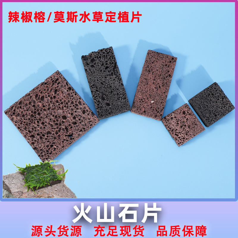 鱼缸石片莫斯水草辣椒榕水榕繁殖定植片水草缸固定石底座