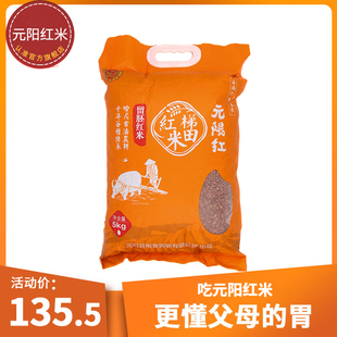 云南元 阳哈尼梯田红米大米五谷杂粮红糙米留胚5kg10斤2023新米