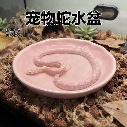 宠物蛇水盆陶瓷喂食盆澡盆泡澡美观爬宠专用异宠猪鼻蛇玉米蛇用品