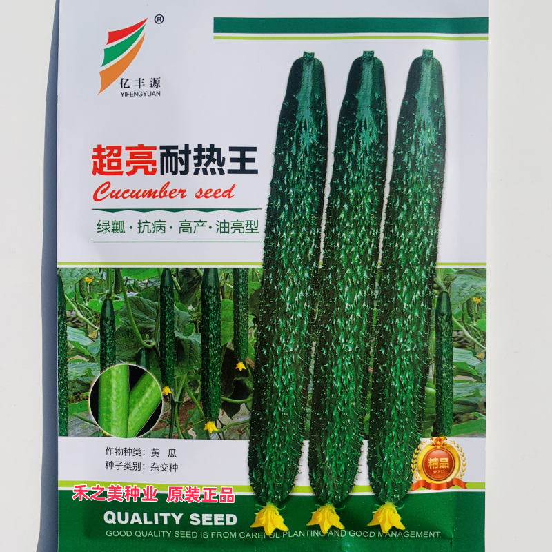 超亮耐热王黄瓜种子早熟绿瓤长黄瓜种籽春夏秋季耐热密刺大田高产