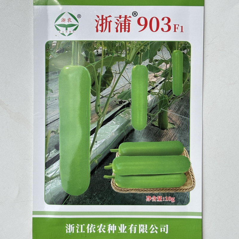 浙蒲903瓠瓜种子蒲瓜种子中棒型早熟座果强品质佳产量高蔬菜基地