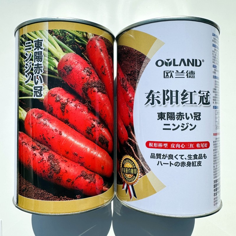 欧兰德东阳红冠杂交胡萝卜种子皮肉心三红胡萝卜种籽大田基地播种