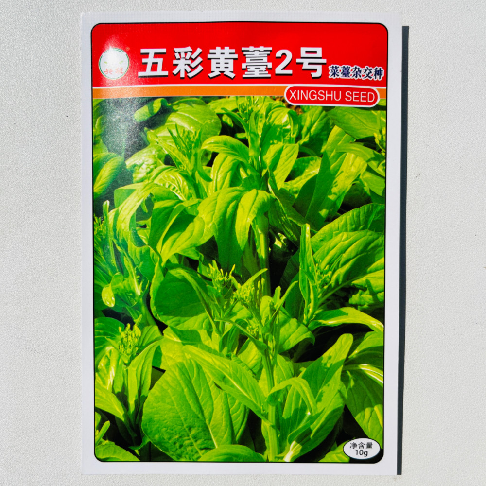 兴蔬五彩黄苔2号菜苔种子中早熟杂交白菜苔种籽春秋季播蔬菜种孑