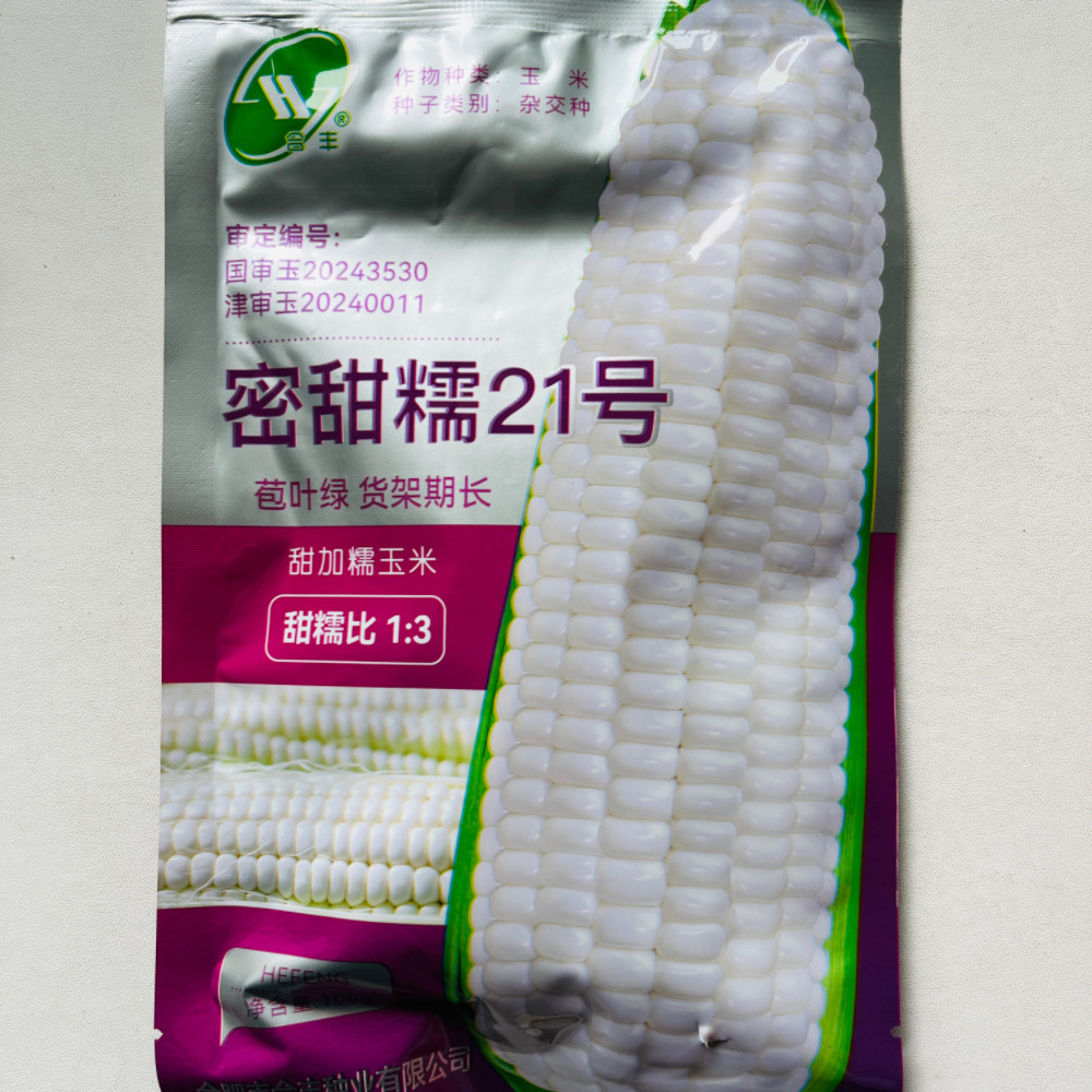 蜜甜糯21号玉米种子白糯特大高产香糯粘玉米种籽孑香糯黏糯米大全