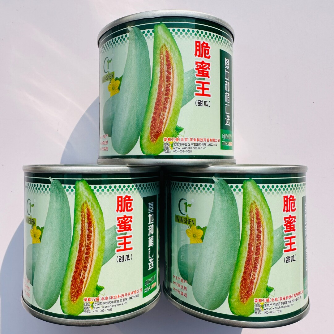 脆蜜王羊角蜜甜瓜种子肉质酥脆香甜高产薄皮香瓜种籽大田基地播种