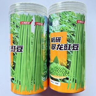 大禹翠龙豇豆种子长豆角种籽翠绿色油亮南北方大田基地春秋季播种