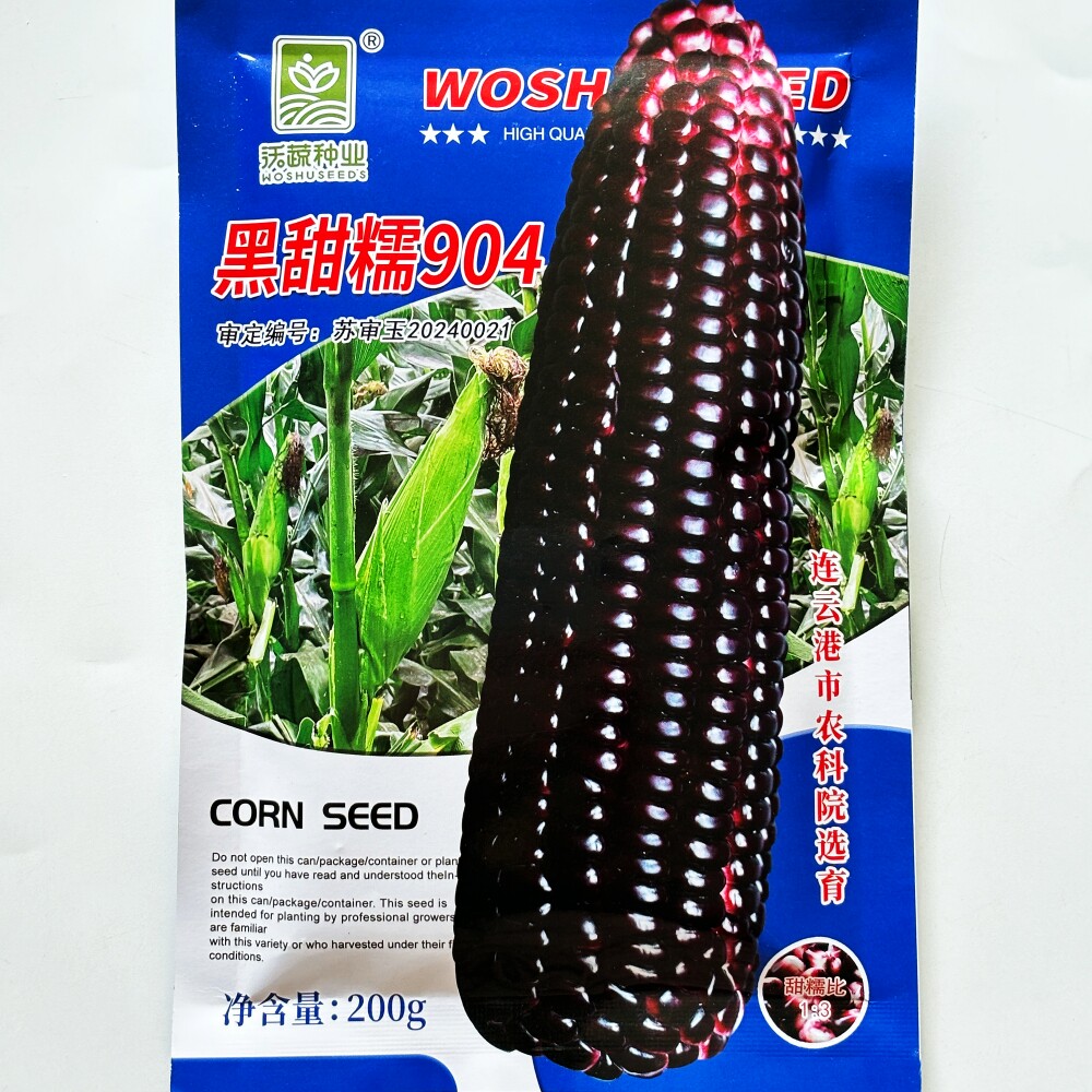 黑甜糯904玉米种子甜糯1比3非转基因黑玉米种籽孑江苏浙江春秋播